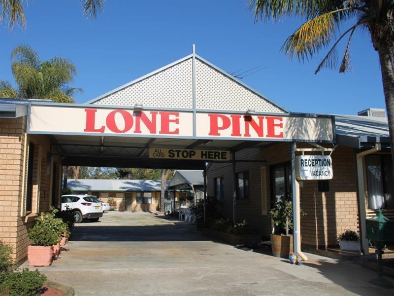 Lone Pine Motel Corowa Eksteriør billede