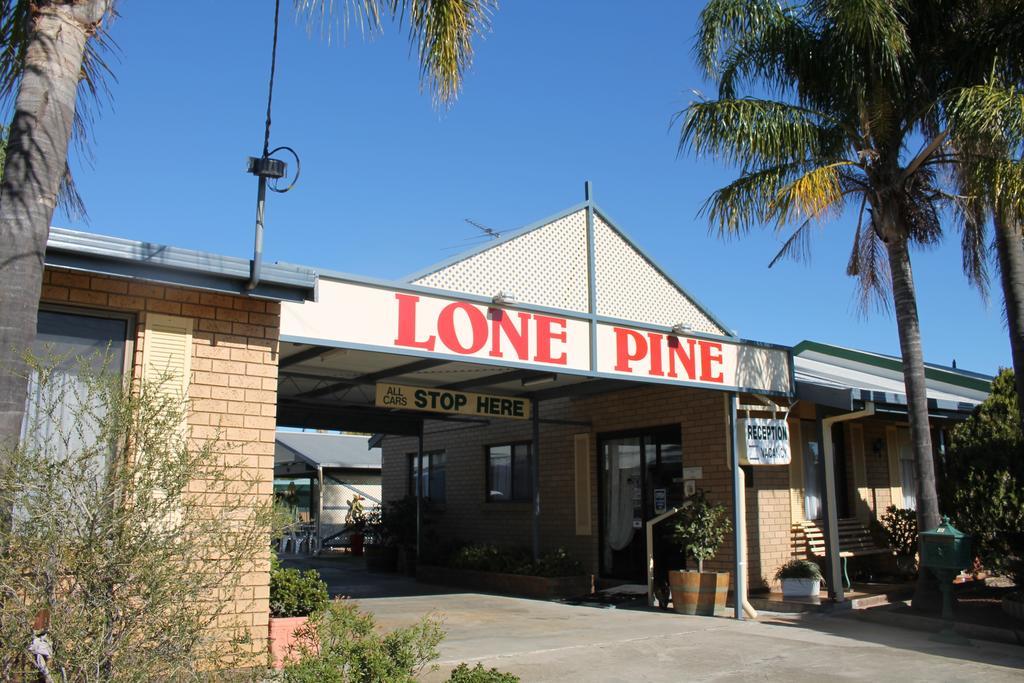 Lone Pine Motel Corowa Eksteriør billede
