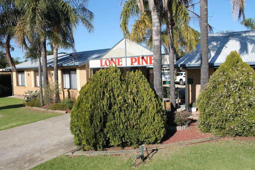 Lone Pine Motel Corowa Eksteriør billede