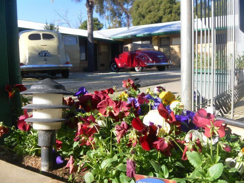 Lone Pine Motel Corowa Eksteriør billede